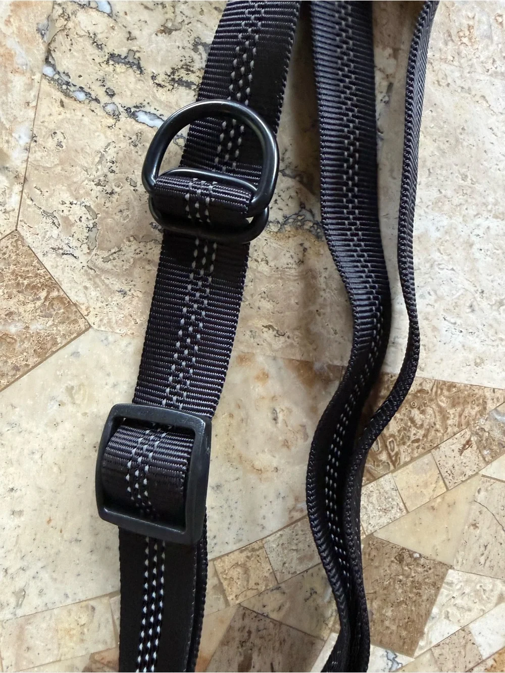 Hands free dog leash